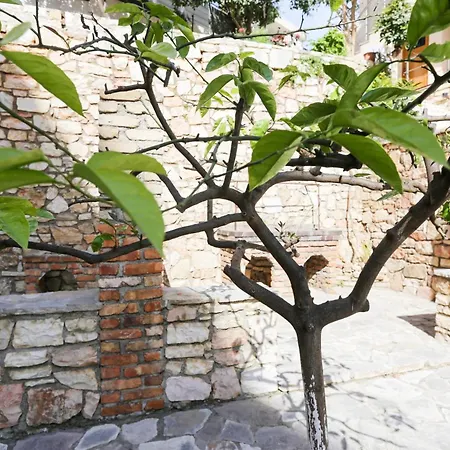 Colette's Comfort Himarë