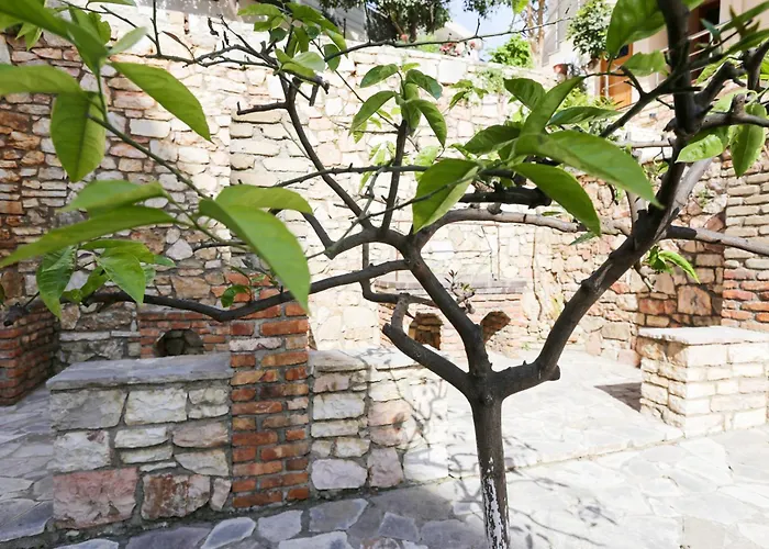 Colette's Comfort Himarë